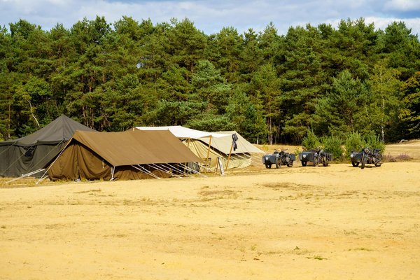 Zoom sur les offres tout inclus des tours opérateurs